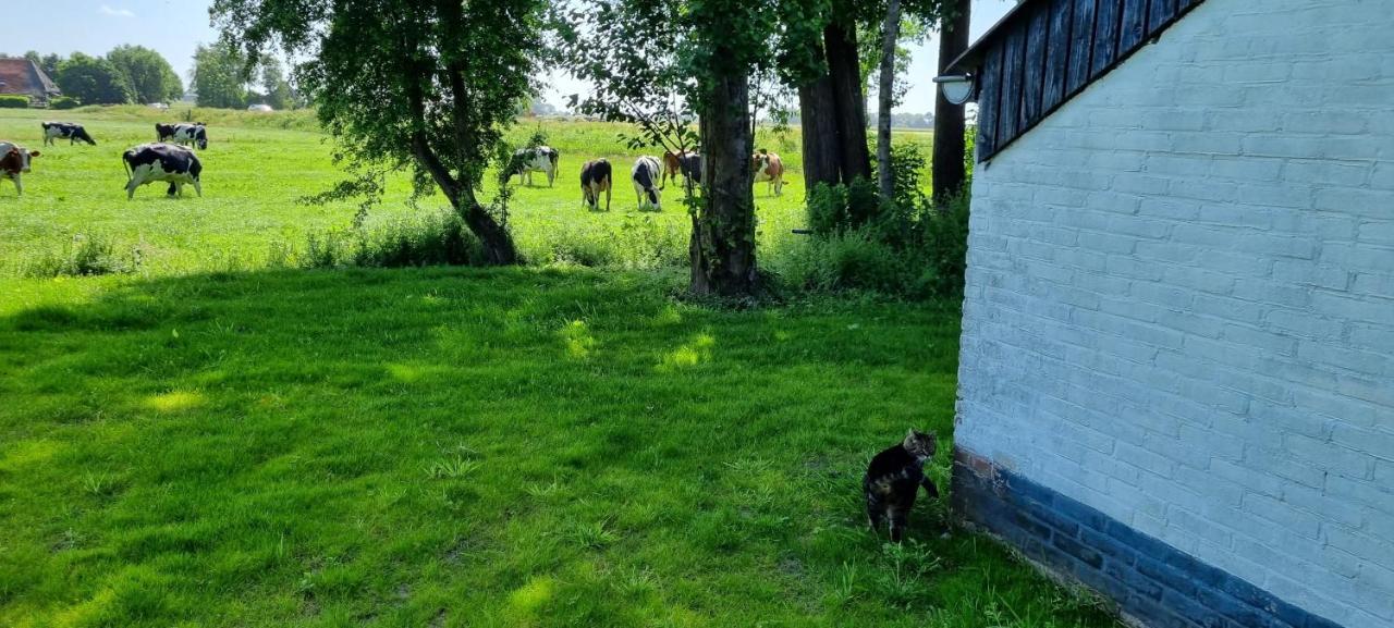 Slapen Bij Bonanza Villa Bantega Eksteriør bilde