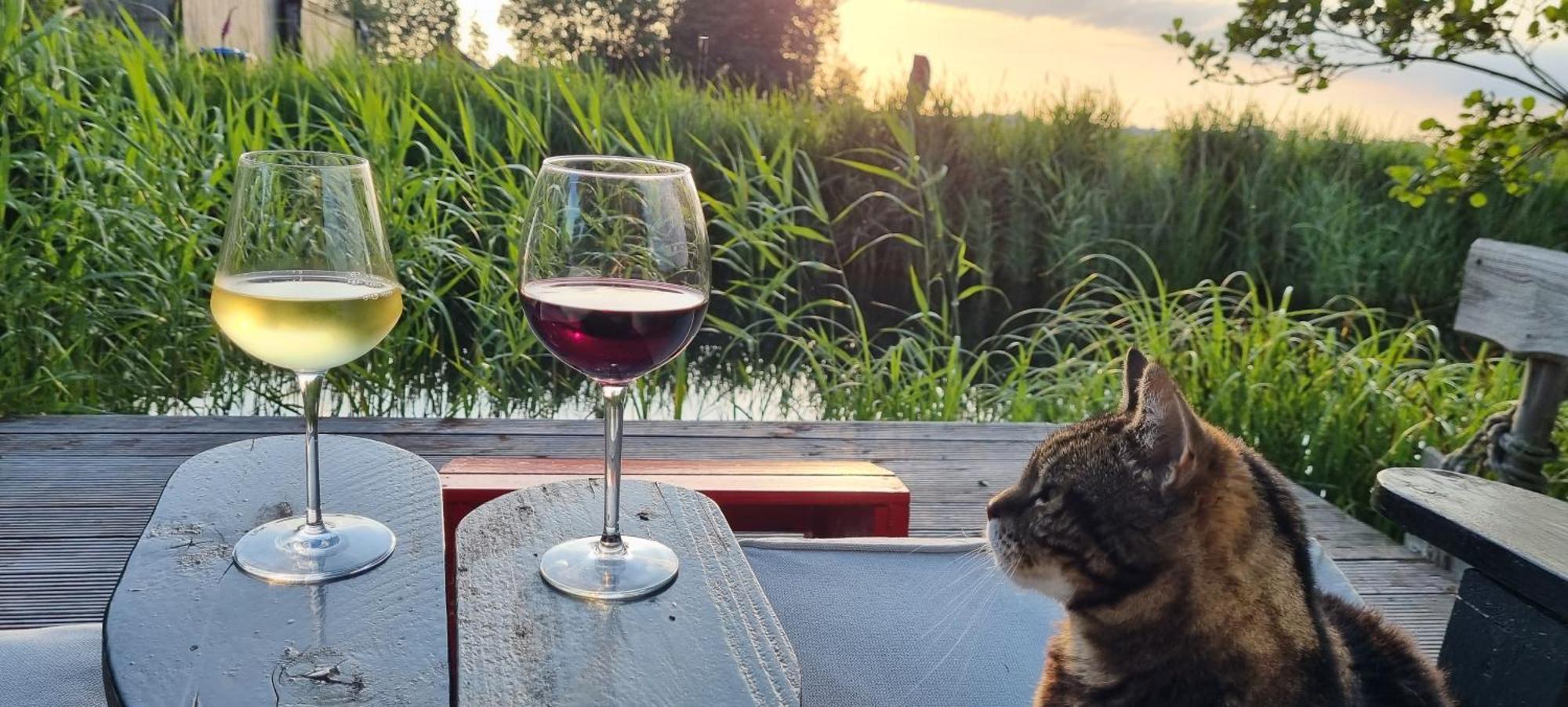 Slapen Bij Bonanza Villa Bantega Eksteriør bilde